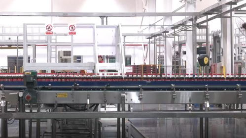 數(shù)實(shí)相融 算啟未來 中糧可口可樂 插上 數(shù)智羽翼 推動企業(yè)發(fā)展